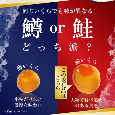 【最短3営業日以内発送】鮭 いくら 醤油漬け 250g×1パック F5F-0097