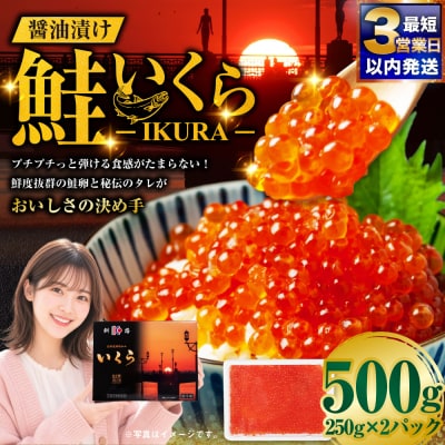 【最短3営業日以内発送】鮭 いくら 醤油漬け 250g×2パック 計500g F5F-0098