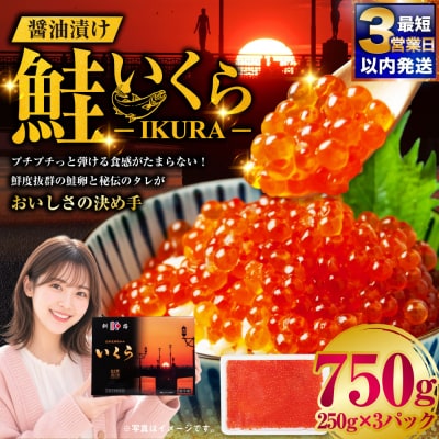 【最短3営業日以内発送】鮭 いくら 醤油漬け 250g×3パック 計750g F5F-0099
