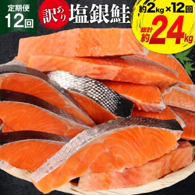 定期便 《12ヶ月連続お届け》 訳あり 銀鮭 切身 約2kg×12 計24kg [20564464]
