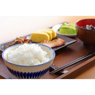 【令和7年産】新潟産コシヒカリ瓢湖米　5kg