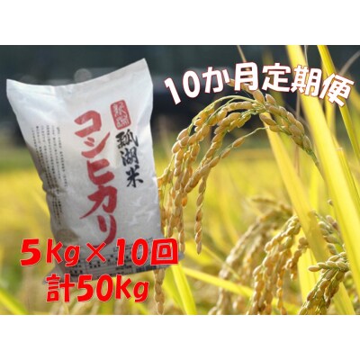 【令和7年産】【10ヶ月定期便】新潟産コシヒカリ瓢湖米　5kg×10回