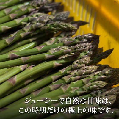 アスパラガス 2Lサイズ 2kg 北海道 美瑛町