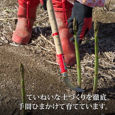 アスパラガス Lサイズ 1kg 北海道 美瑛町