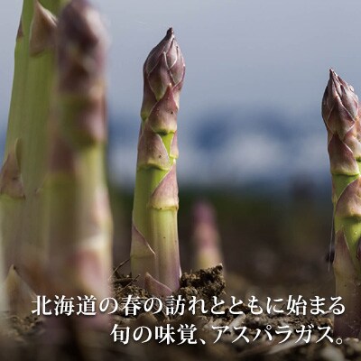 アスパラガス Mサイズ 2kg 北海道 美瑛町