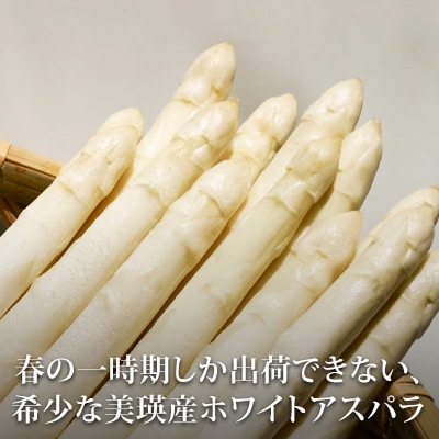グリーンアスパラガス 500g & ホワイトアスパラガス 300g 北海道 美瑛