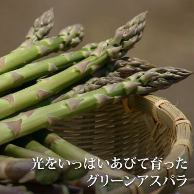 グリーンアスパラガス 500g & ホワイトアスパラガス 300g 北海道 美瑛