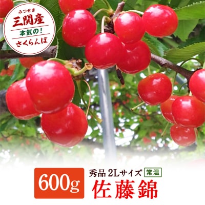 三関産 さくらんぼ 佐藤錦 600g 秀品 2Lサイズ [B8-2601]