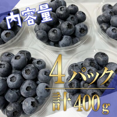 【先行予約】極上摘みたて ブルーベリー 大粒 100g×4P【期間限定】