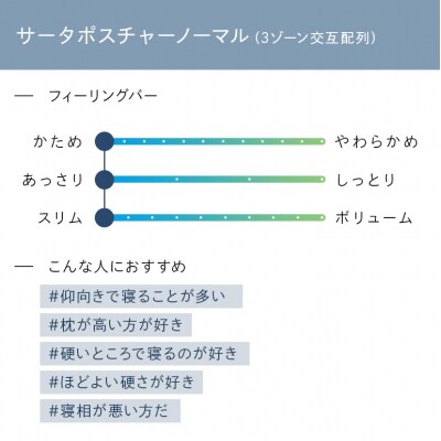 ドリームベッド サータ ポスチャーノーマル (SD)[No5895-0375]