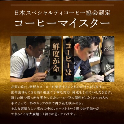 自家焙煎珈琲店「緑の館」/「グリーンミックス」豆　500g×4(2kg)【17-73】