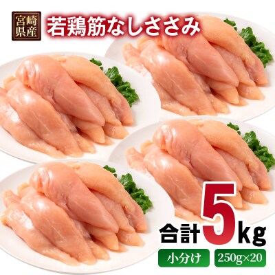 宮崎県産若鶏 筋なしささみ 5kg 小分け250g×20パック [2984]