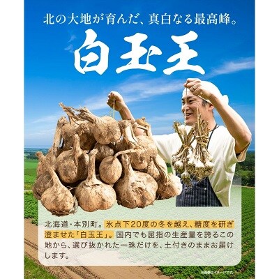 【先行予約】北海道十勝本別町産土付きにんにく白玉王1kgLサイズ