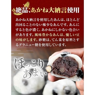 北海道本別町豆の町から生まれた塩豆大福12個セット