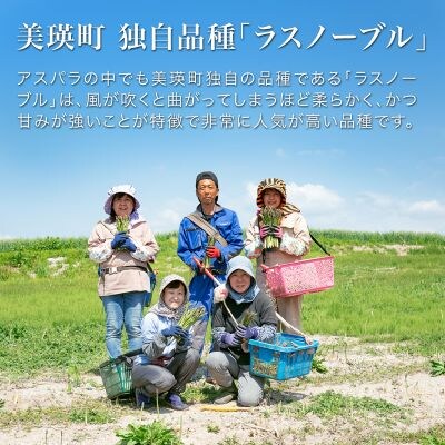 アスパラガス ラスノーブル L～Sサイズ 1kg 北海道 美瑛