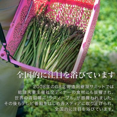 アスパラガス ラスノーブル L～Sサイズ 2kg 北海道 美瑛