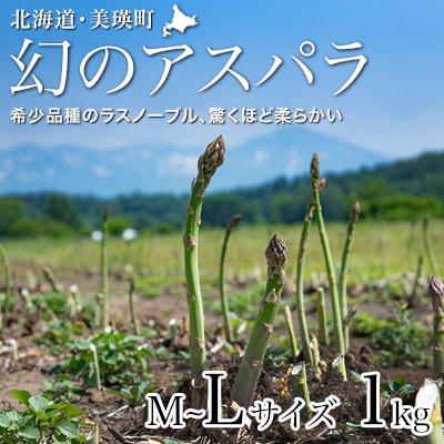 アスパラガス ラスノーブル L～Mサイズ 1kg 北海道 美瑛