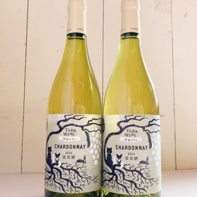 �y�쐶�y��z�h�������C�� �s�V�����h�l2024�t2�{���x�ǖ�~�n�̑��c���C�i���[