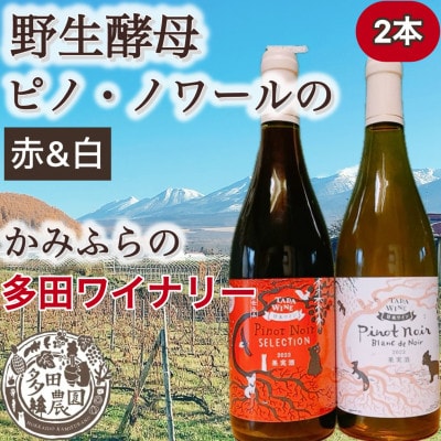 【野生酵母&無濾過】ピノ・ノワールでつくった赤白ワイン2本　かみふらの*多田ワイナリー*