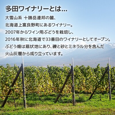 【野生酵母ワイン】かみふらの多田農園　辛口白[シャルドネ]6本