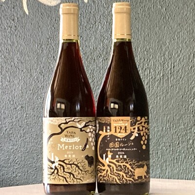 【野生酵母】豊かな果実味 赤ワイン2本 多田ワイナリー●かみふらの