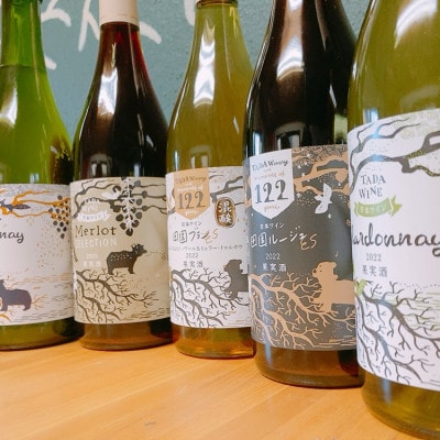 【多田ワイナリー】野生酵母ワイン5本(赤白泡)かみふらの