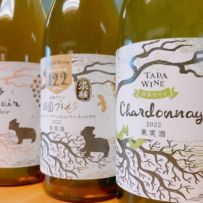 【野生酵母】辛口白ワイン 3本*かみふらの*多田ワイナリー
