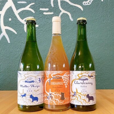 【酸化防止剤無添加】ワイン3本(オレンジワイン1本&微発泡白ワイン2本)▼多田ワイナリー