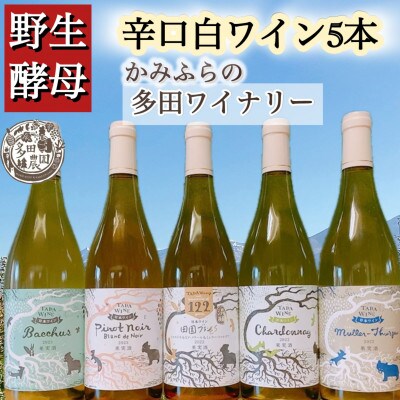 【野生酵母】辛口白ワイン 5本*かみふらの*多田ワイナリー