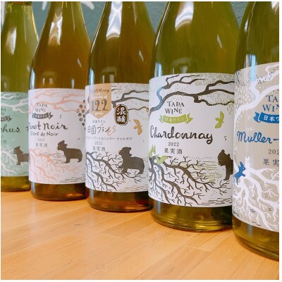 【野生酵母】辛口白ワイン 5本*かみふらの*多田ワイナリー