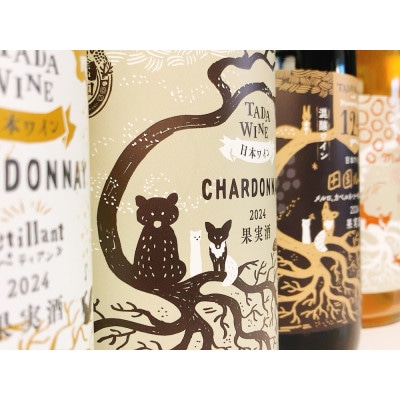 【自然発酵】赤白泡オレンジワイン 4本 多田ワイナリー