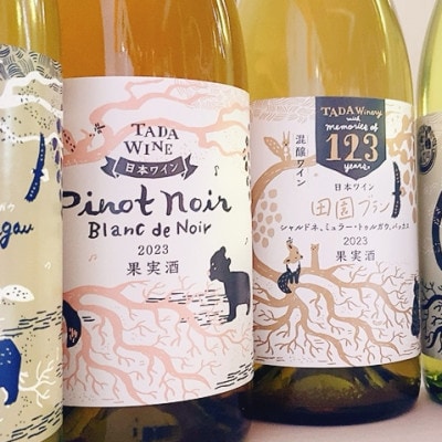 【野生酵母&無濾過】辛口白ワイン5本セット 多田ワイナリー