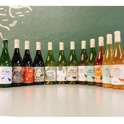 【毎月定期便】野生酵母ワイン 赤白泡オレンジ●月2本●多田ワイナリー全6回