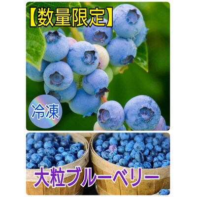 北海道 上富良野産 大粒ブルーベリー