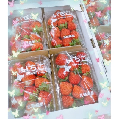 北海道上富良野産【A品】冷凍いちご　約1.2kg