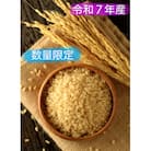 【数量限定】令和7年産 ななつぼし 玄米[10kg]