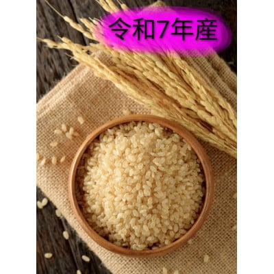 令和7年産 ななつぼし 玄米[10kg]