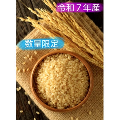 【数量限定】令和7年産 ゆめぴりか 玄米[10kg]