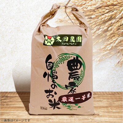 【発送月固定定期便】厳選一等米　ゆめぴりか10kg 全8回