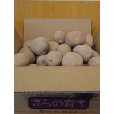 蔵出し熟成じゃがいも『黄爵』約10kg
