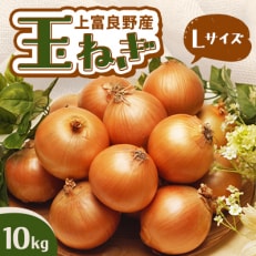 玉ねぎ　10kg