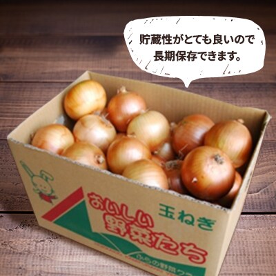 玉ねぎ　10kg