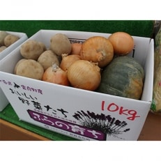 秋野菜詰め合わせセット 10kg