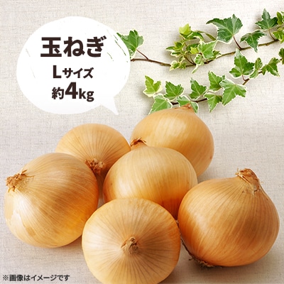 秋野菜詰め合わせセット　10kg
