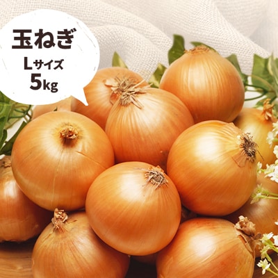 新じゃが・玉ねぎセット　10kg