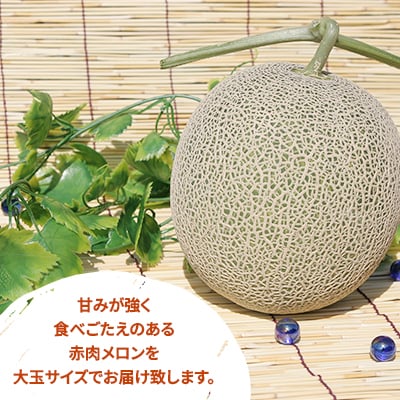 富良野メロン　大玉　1玉