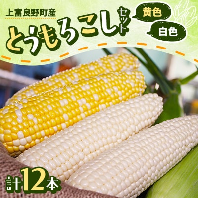 とうもろこしセット(黄6本+白6本)