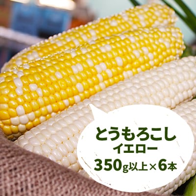 とうもろこしセット(黄6本+白6本)