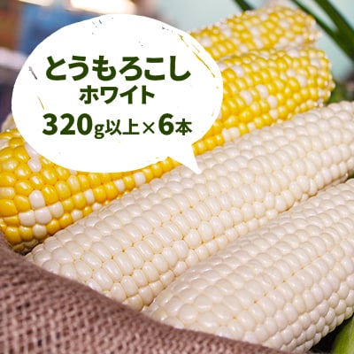 とうもろこしセット(黄6本+白6本)