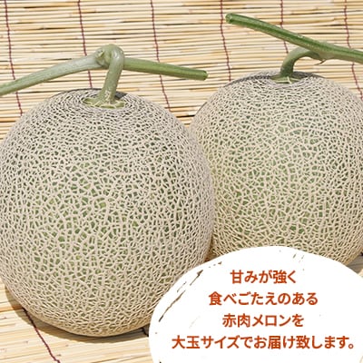 富良野メロン　大玉　2玉